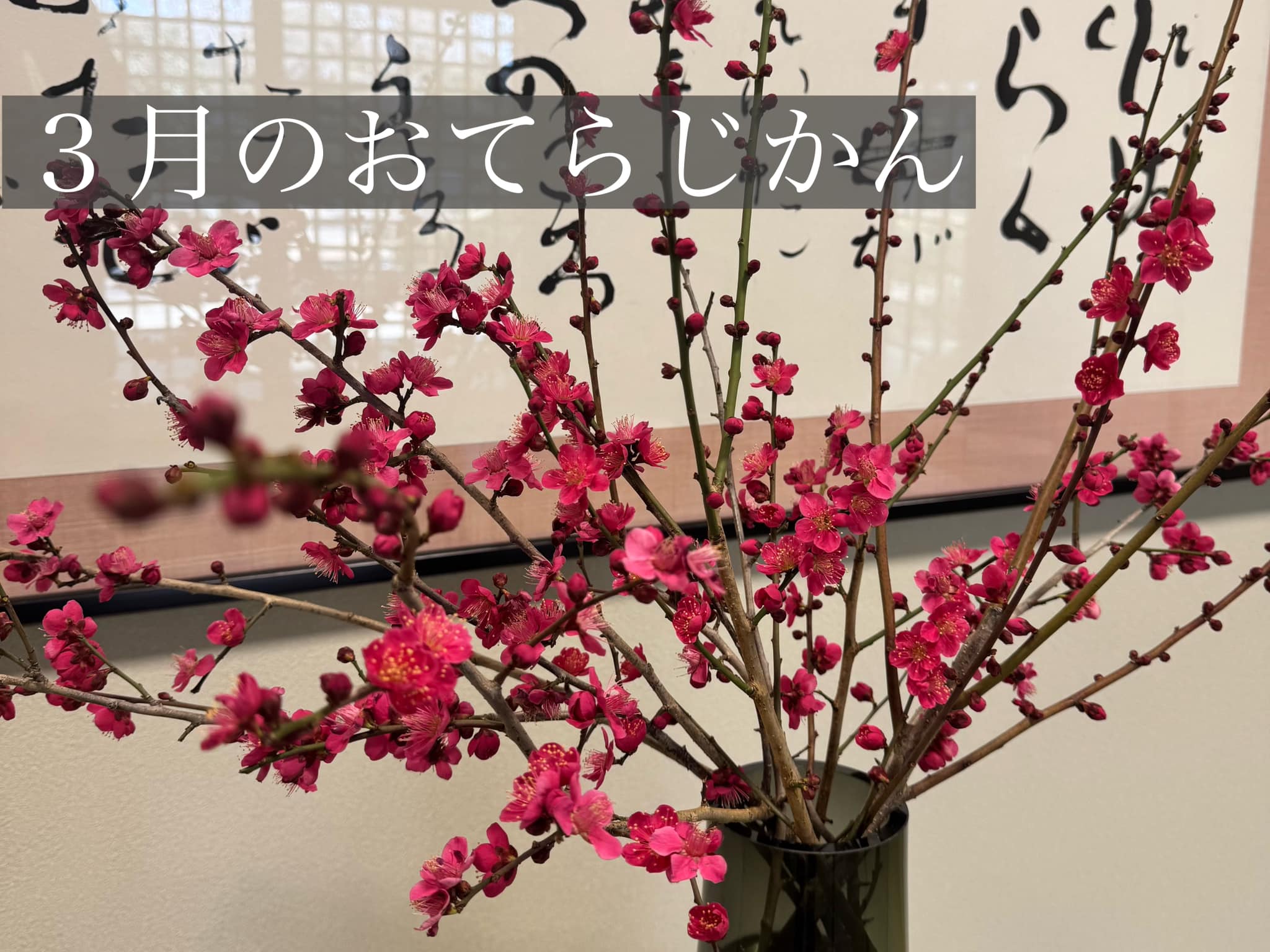 ３月のおてらじかん日程