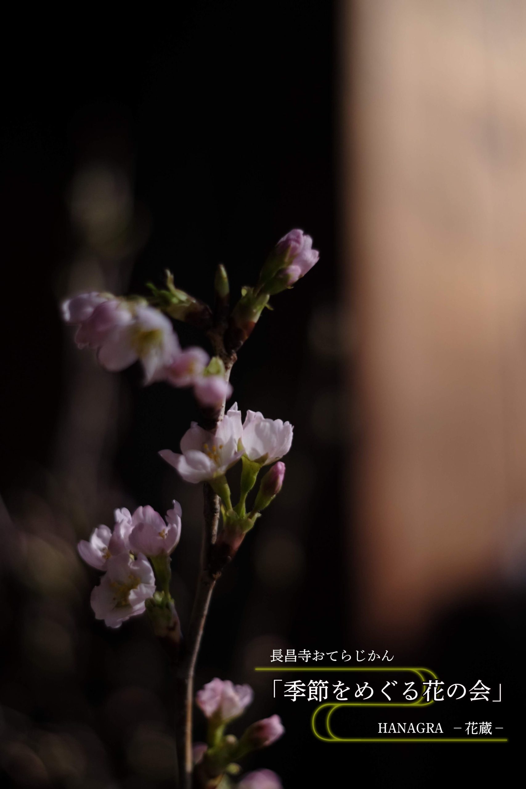 長昌寺おてらじかん×花蔵