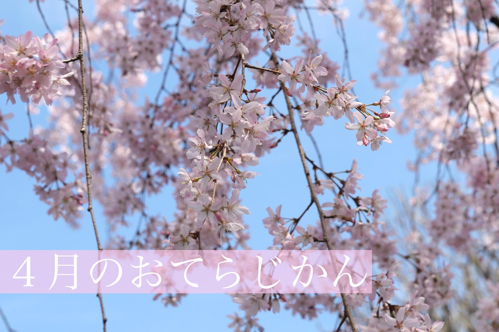 ４月のおてらじかん日程