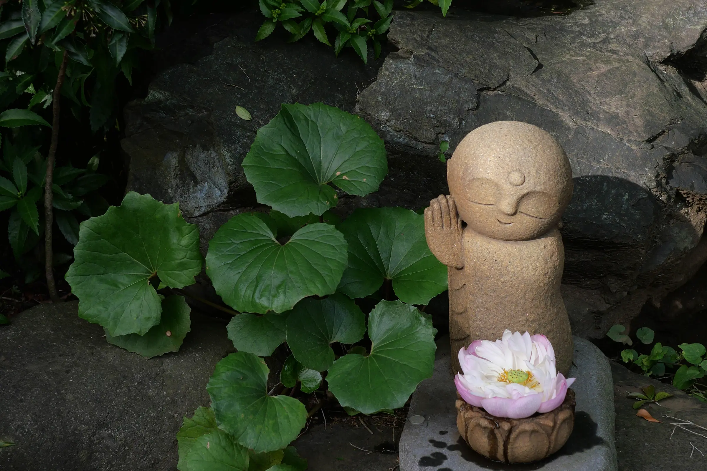 水子供養の画像