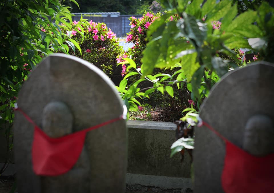 六地蔵さまの後方のつつじは