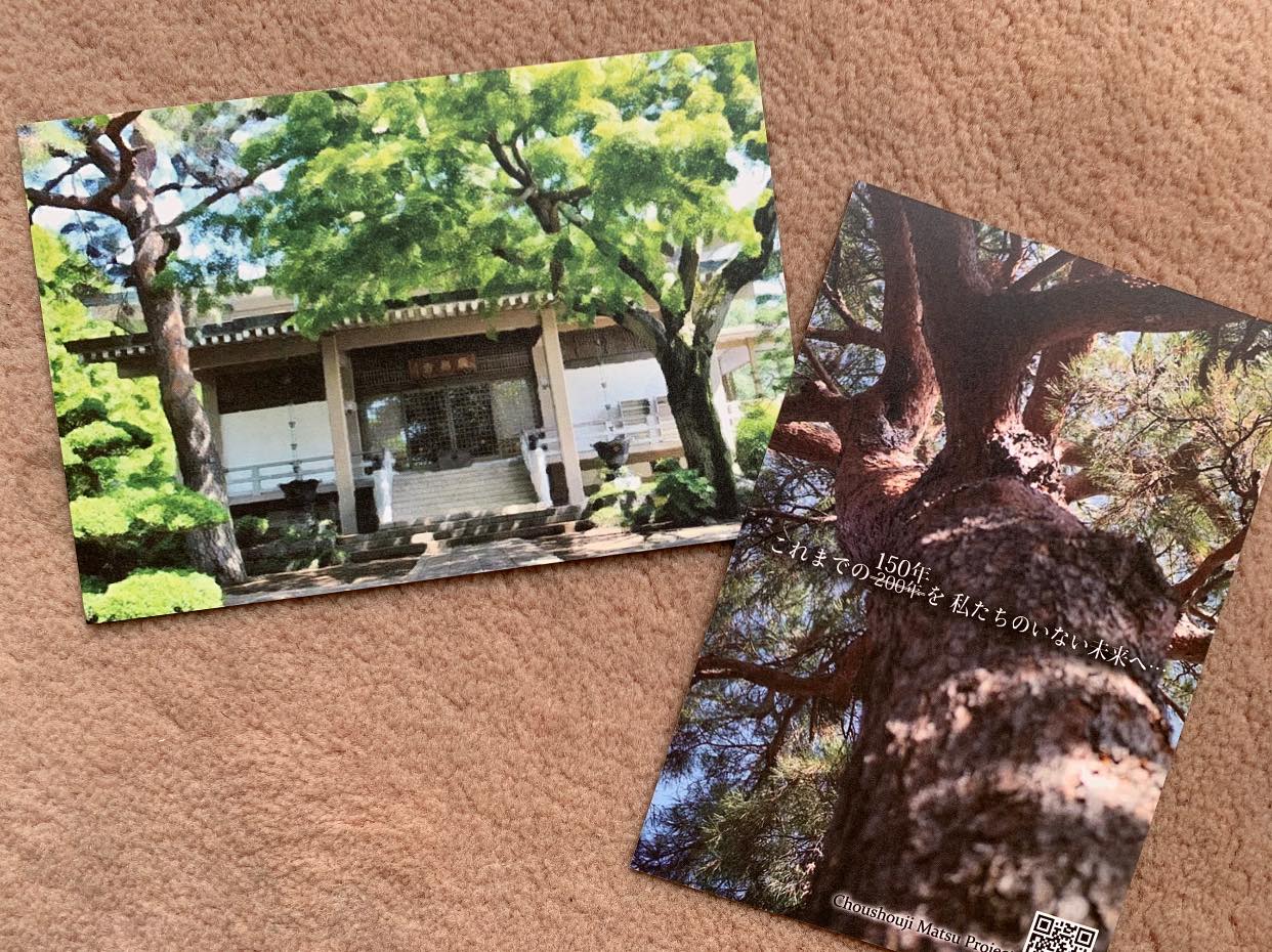 長昌寺松プロジェクトが始まりました