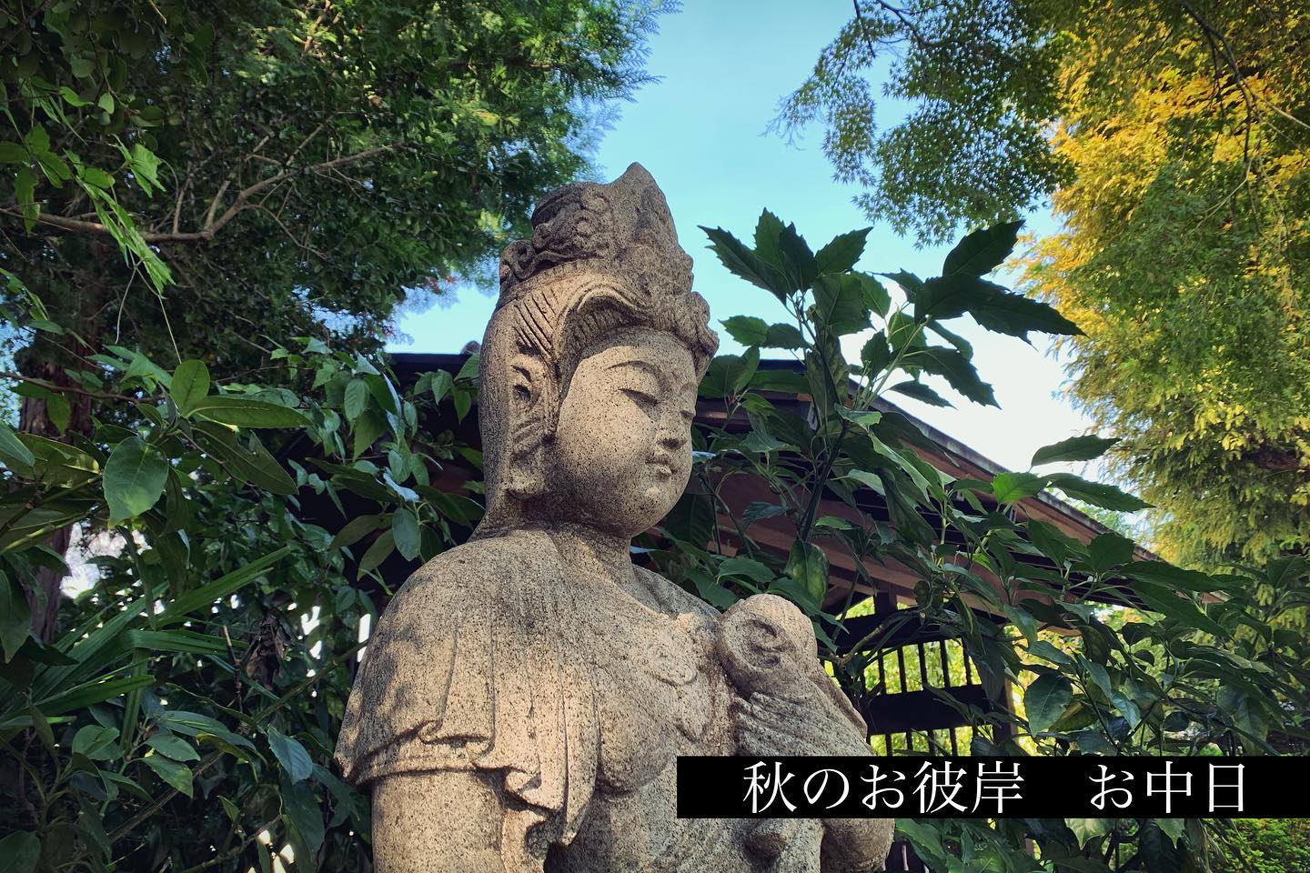 お中日