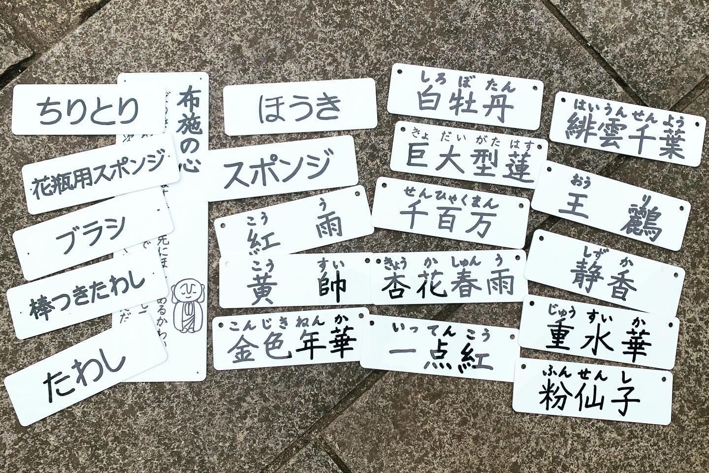 蓮鉢のプレート