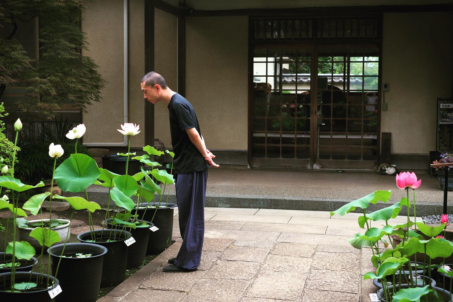 本日　梶野町の道草市です