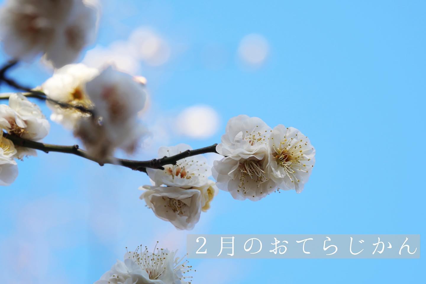 ２月のおてらじかん