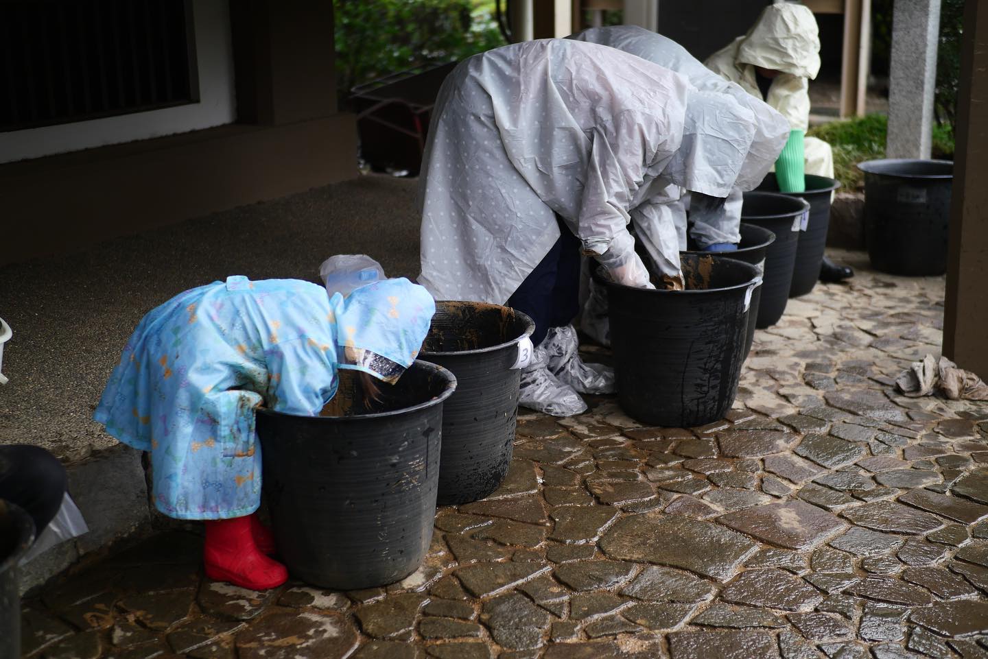 雨の植え付け