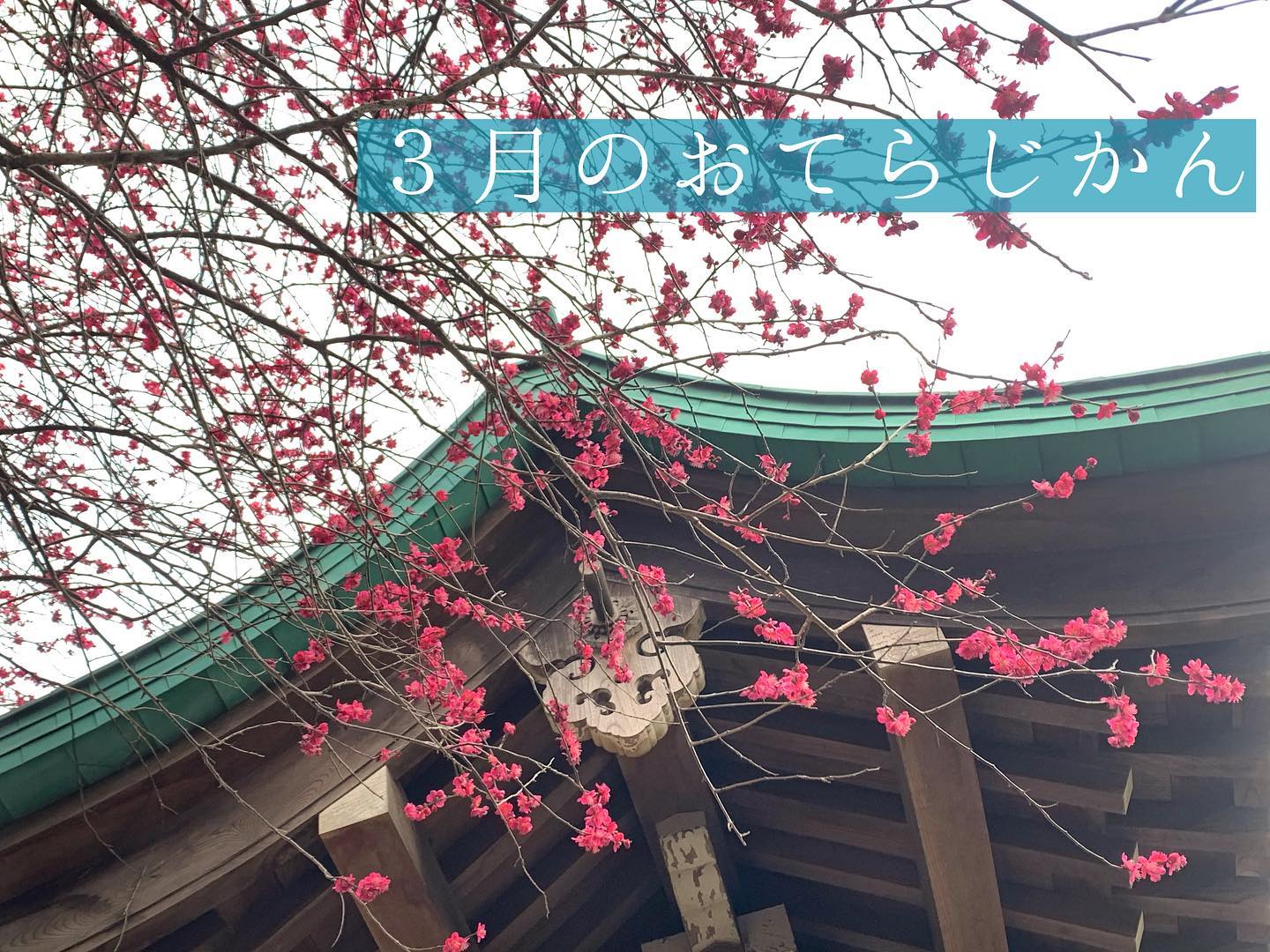 ３月のおてらじかん日程