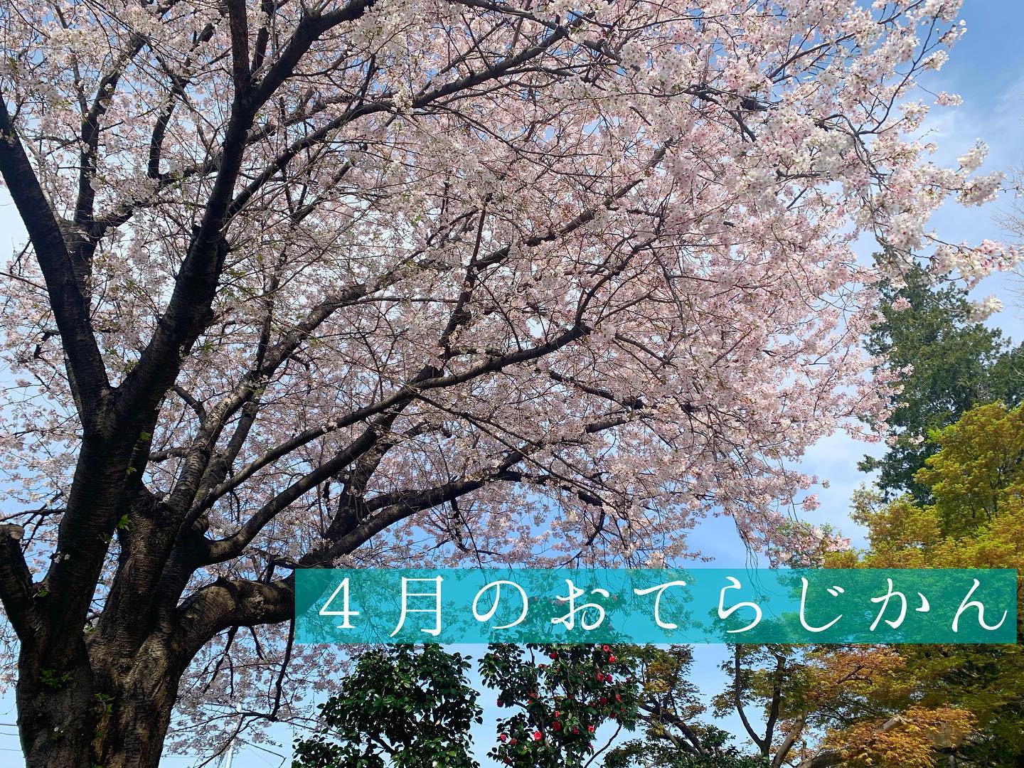 ４月のおてらじかん日程