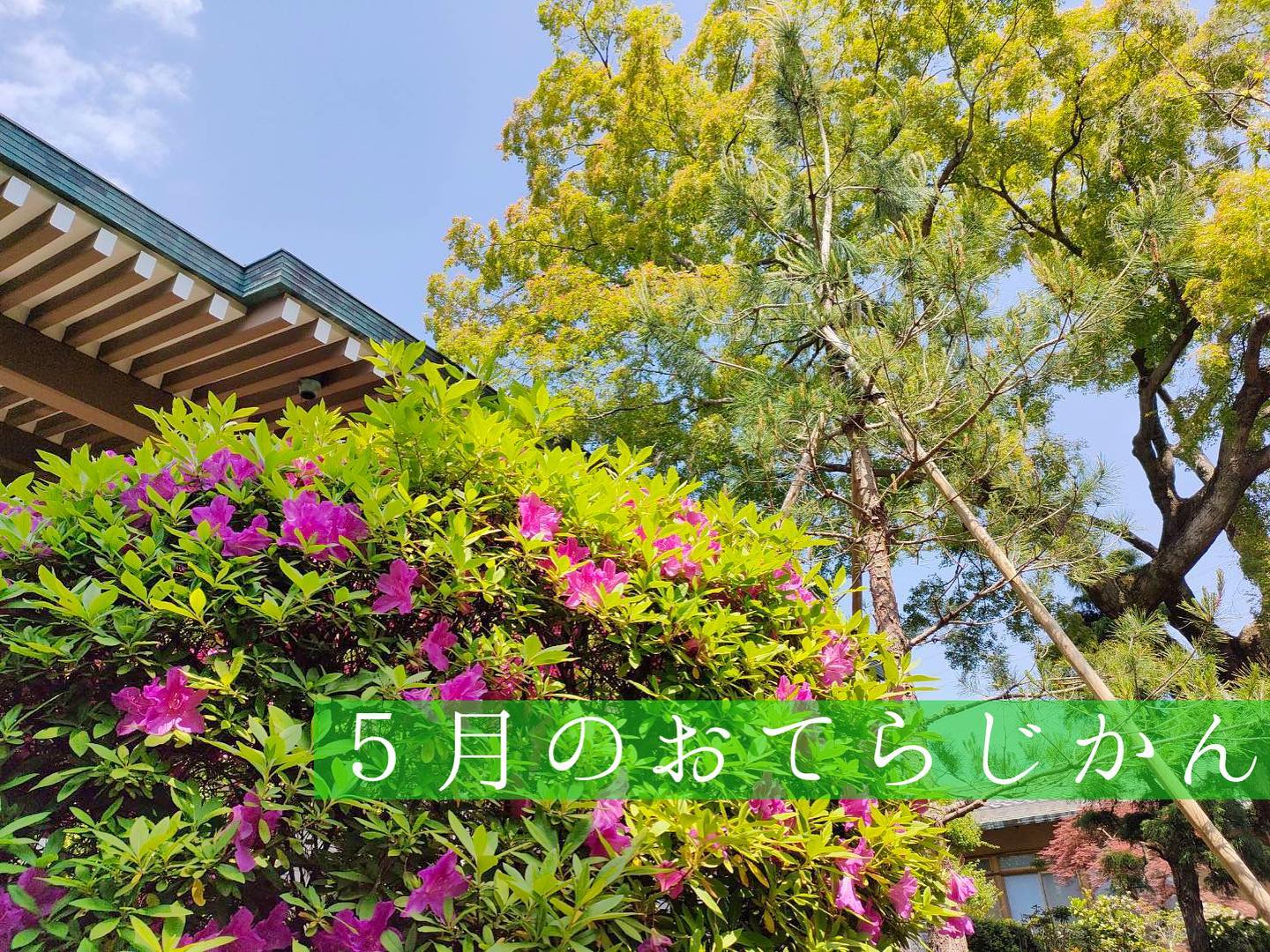 ５月のおてらじかん日程