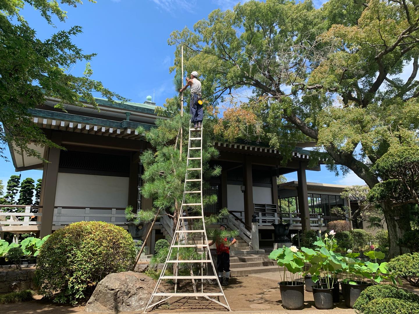お盆です