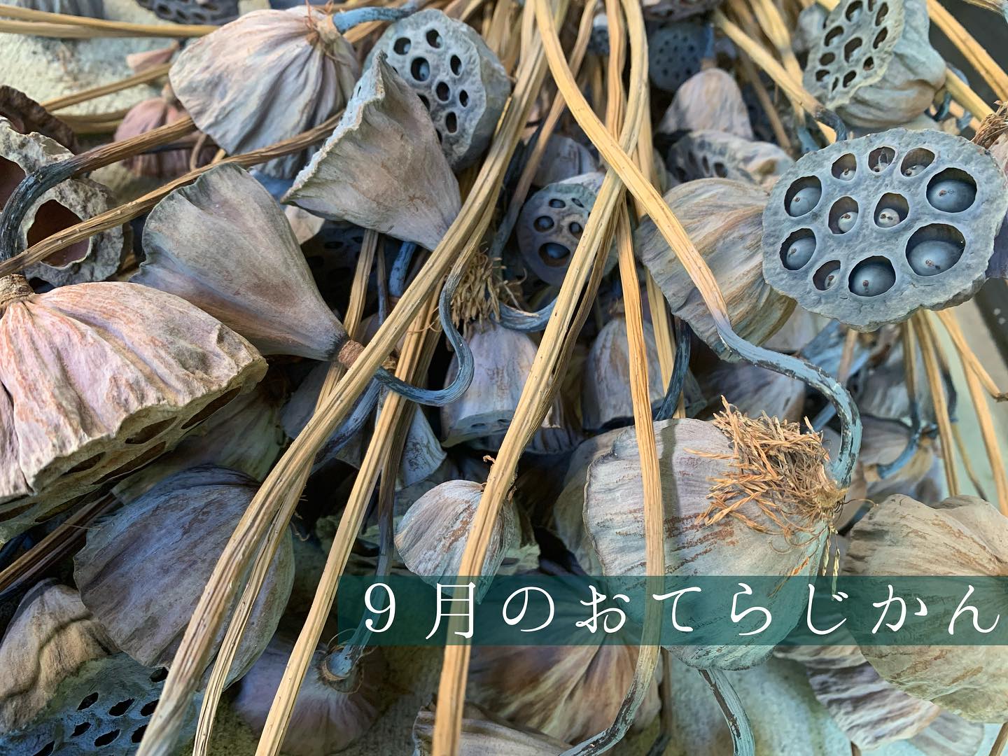 ９月のおてらじかん日程