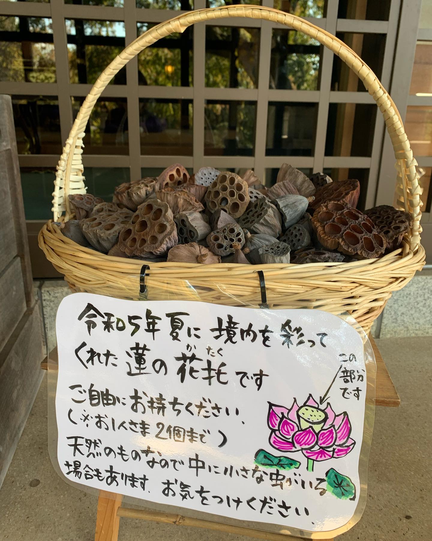 花托のお裾分け