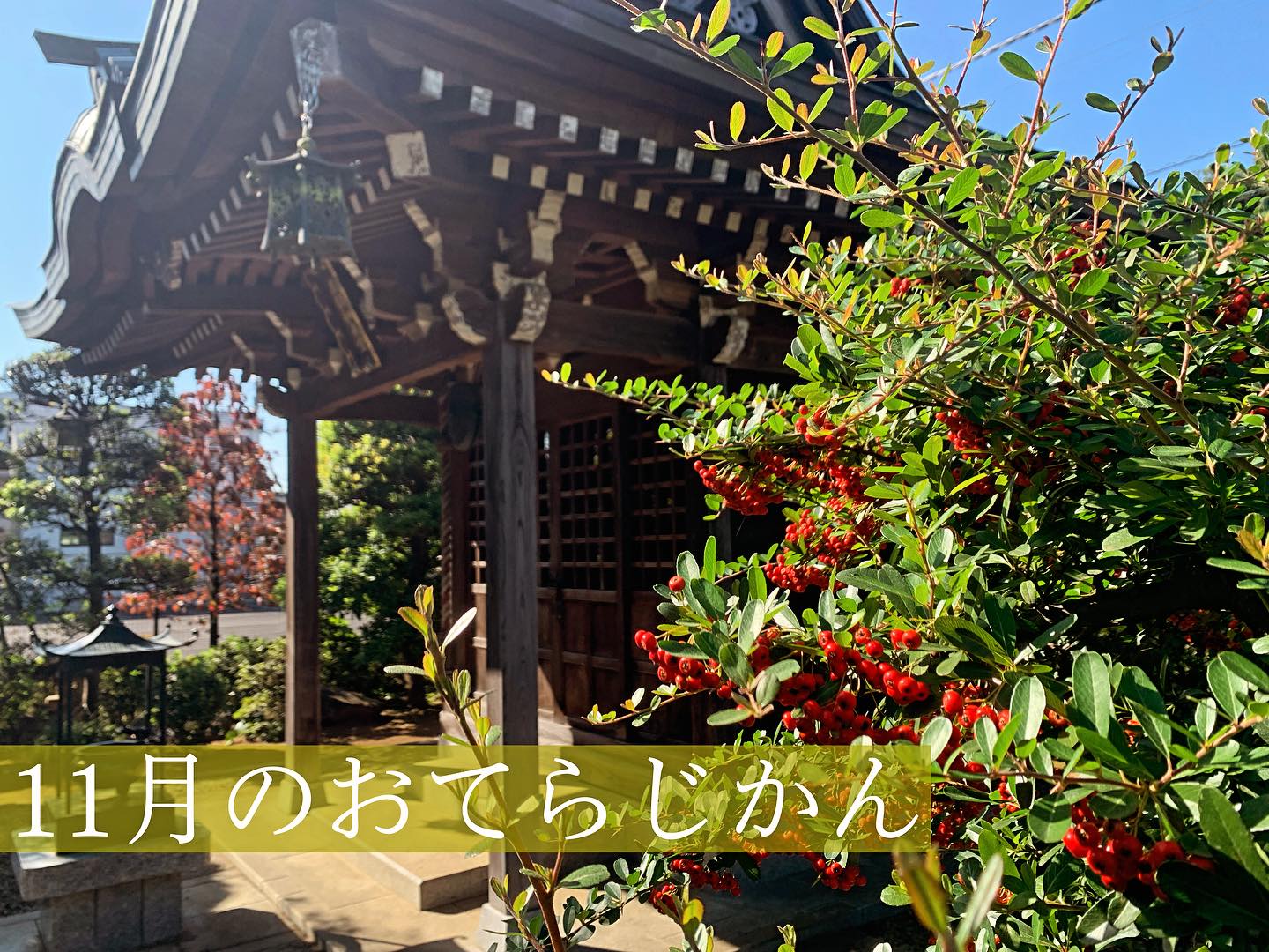 １１月のおてらじかん日程