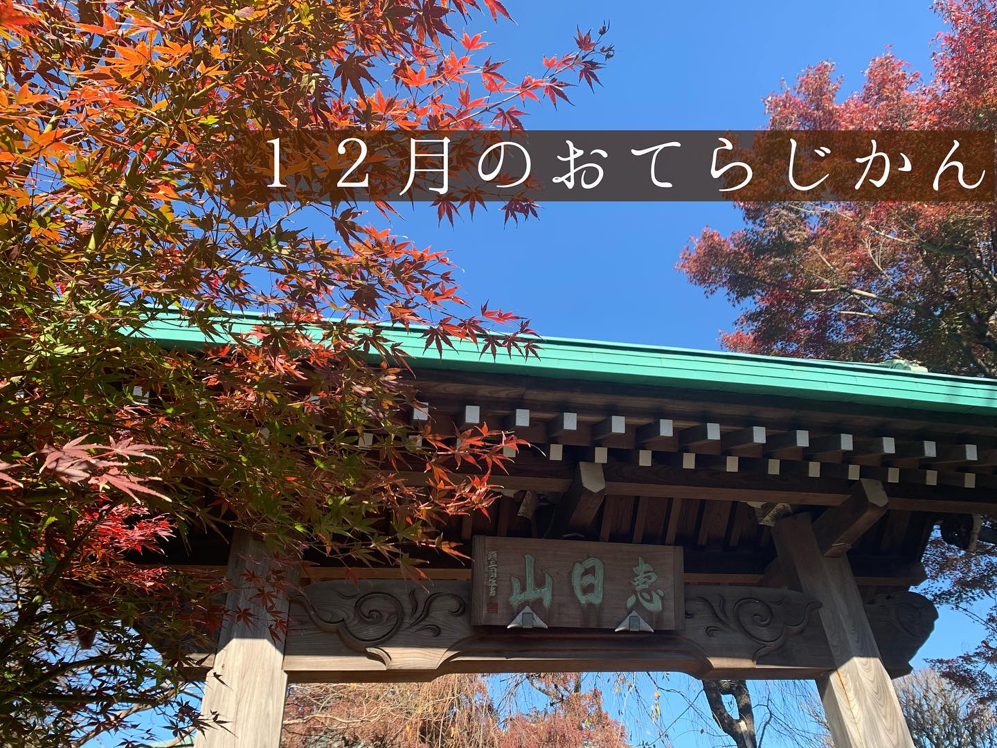１２月のおてらじかん日程
