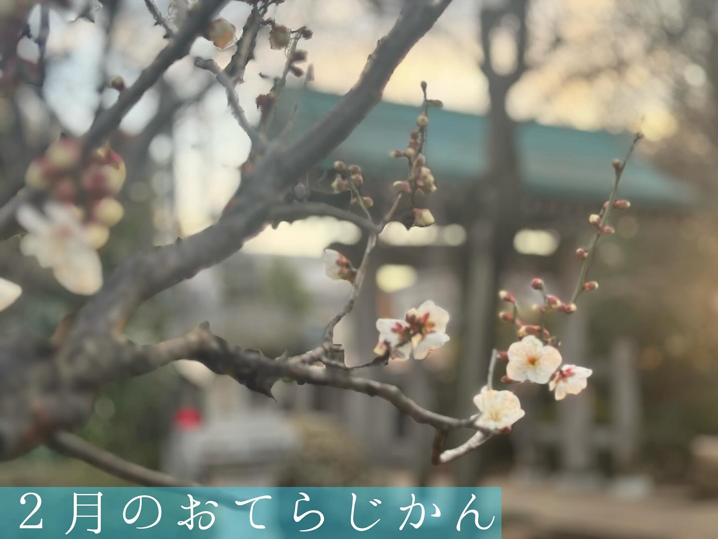 ２月のおてらじかん日程