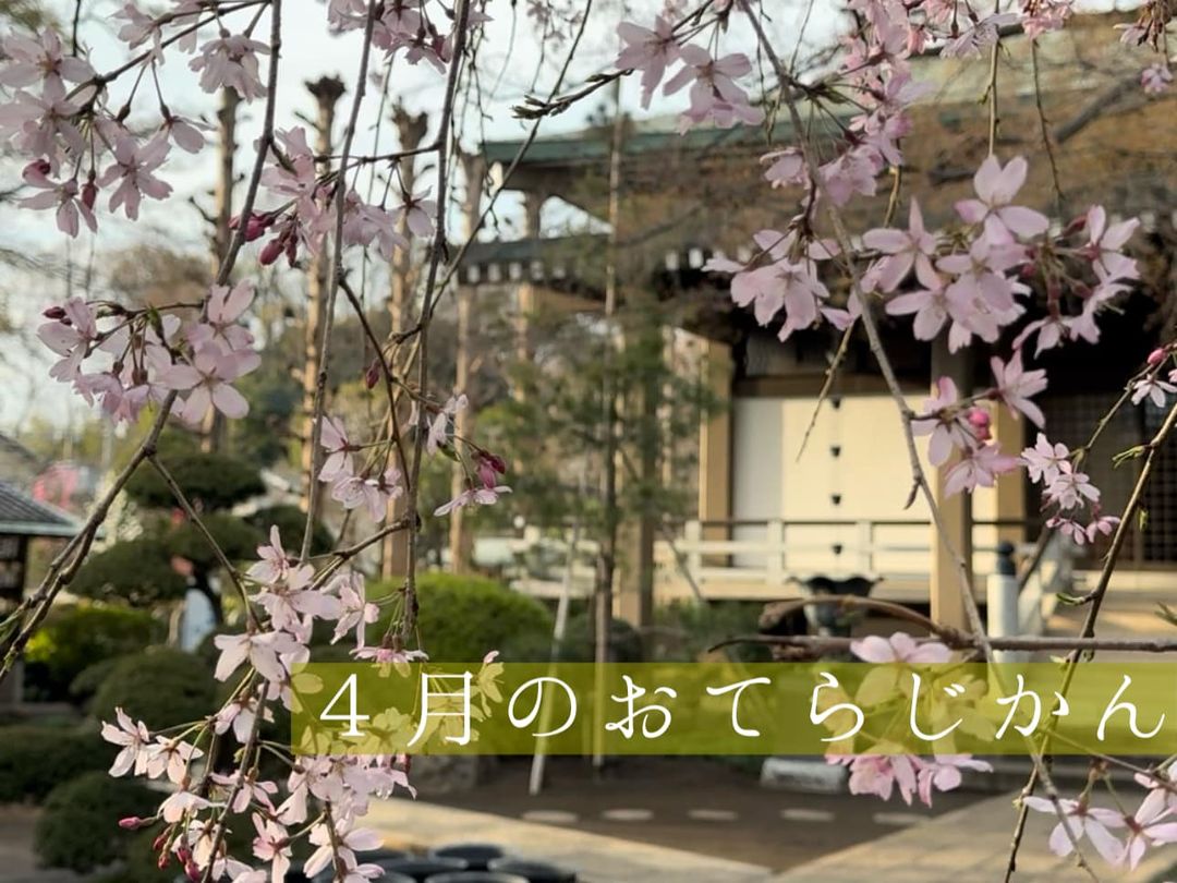 ４月のおてらじかん日程