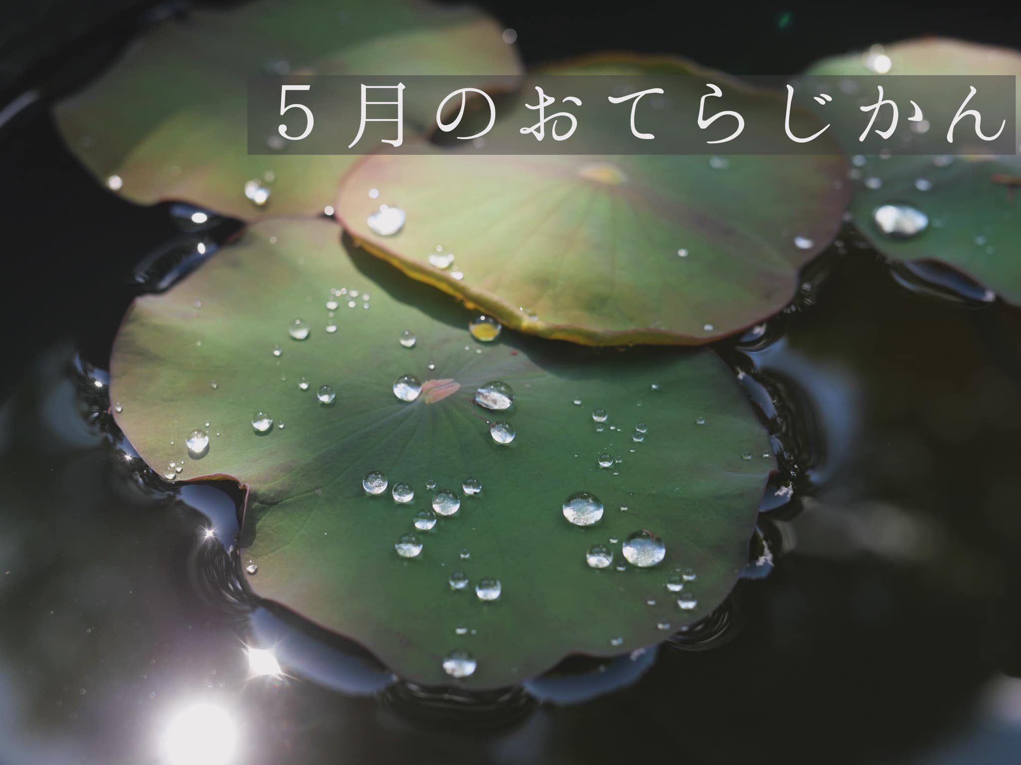 ５月のおてらじかん日程