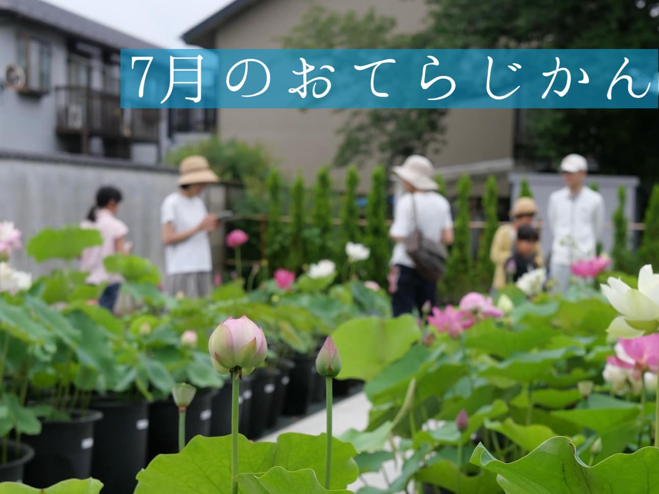 7月のおてらじかん日程