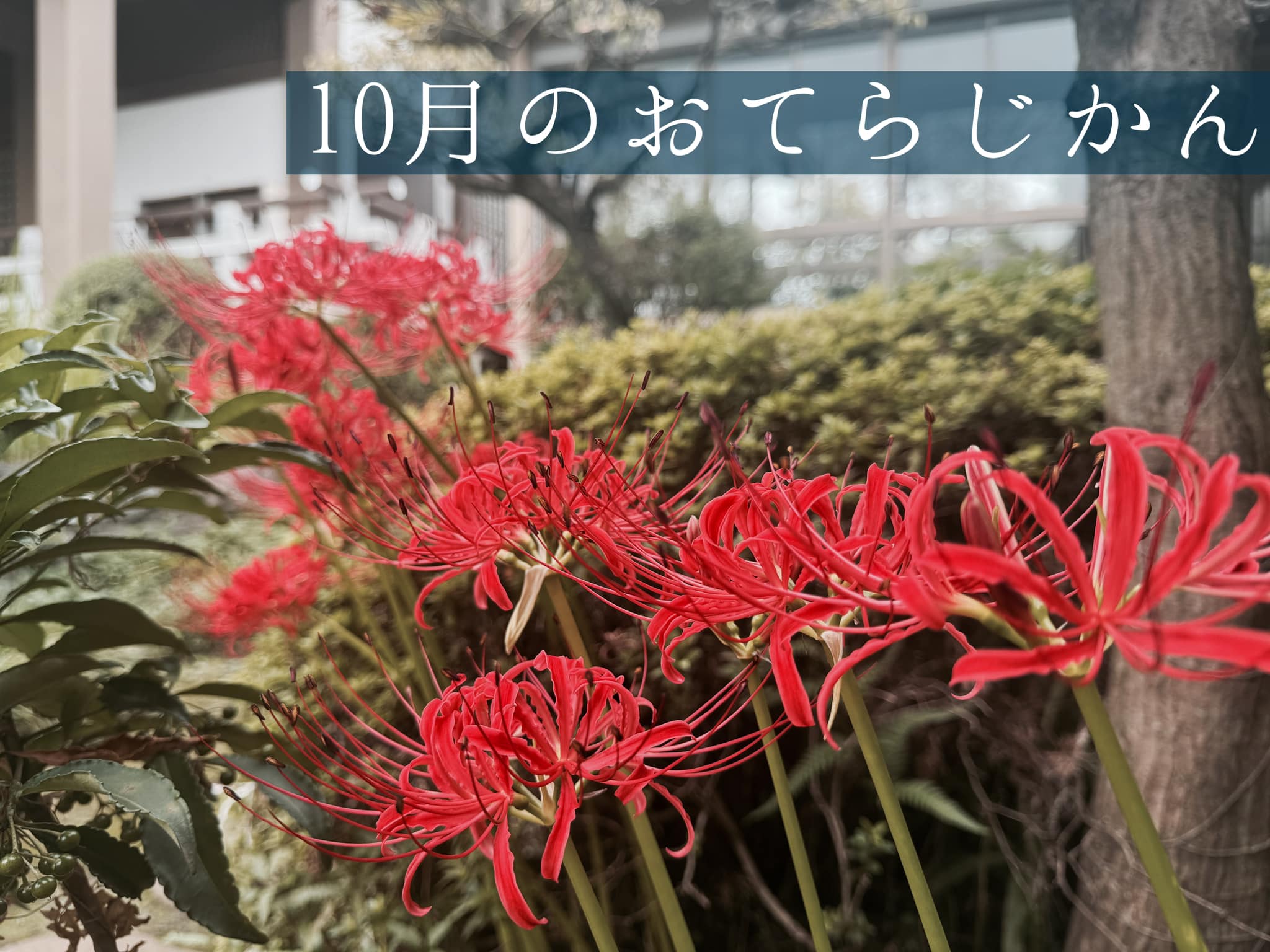 １０月のおてらじかん日程