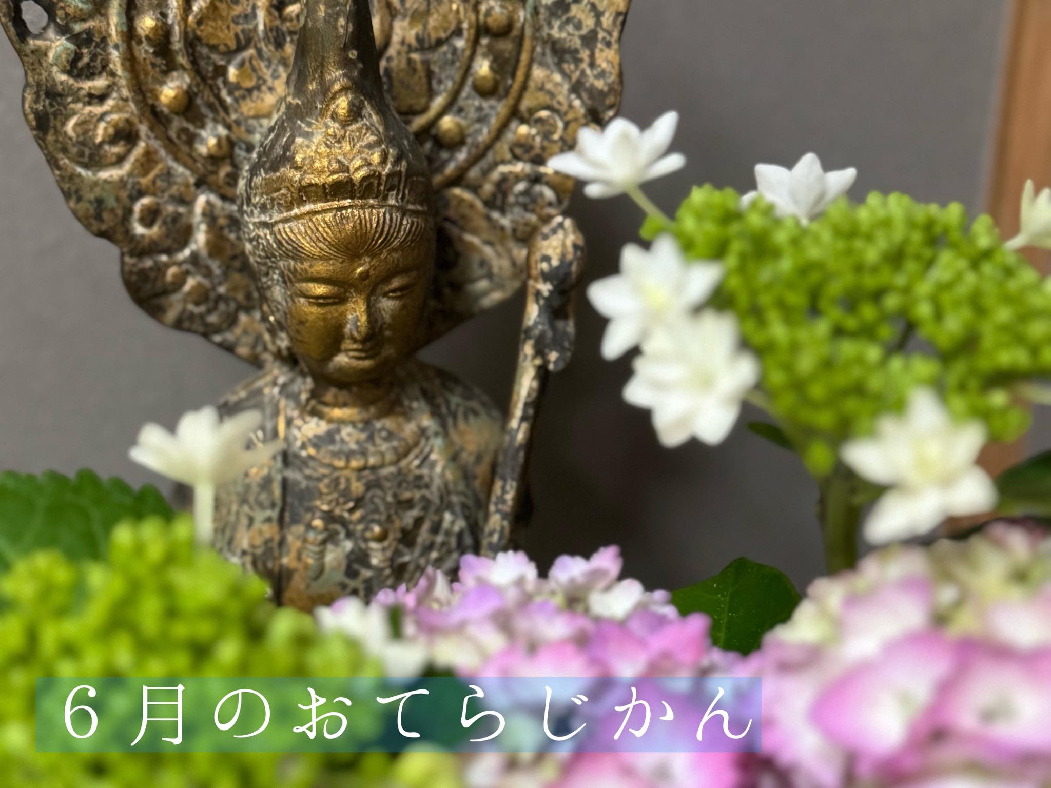 6月のおてらじかん日程