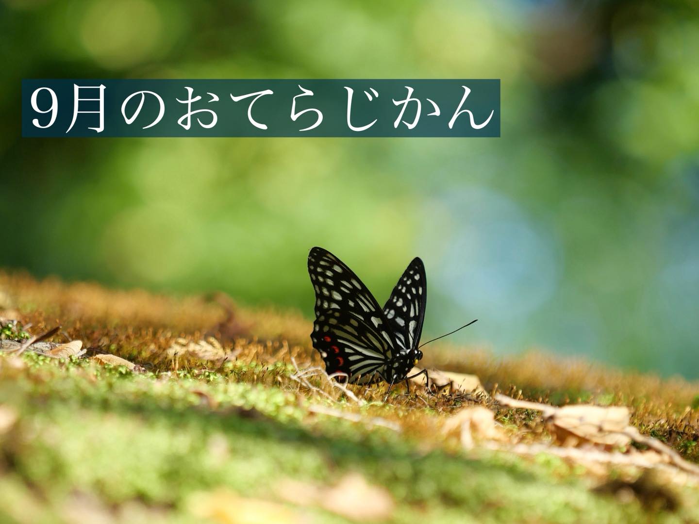 ９月のおてらじかん日程