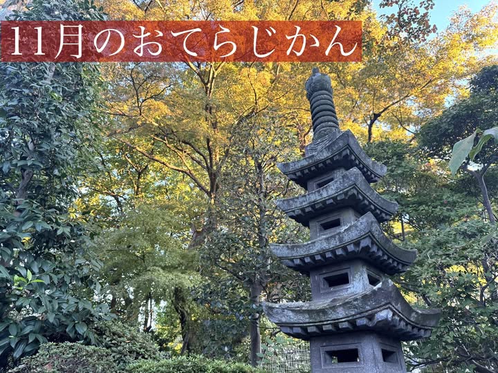 11月のおてらじかん日程