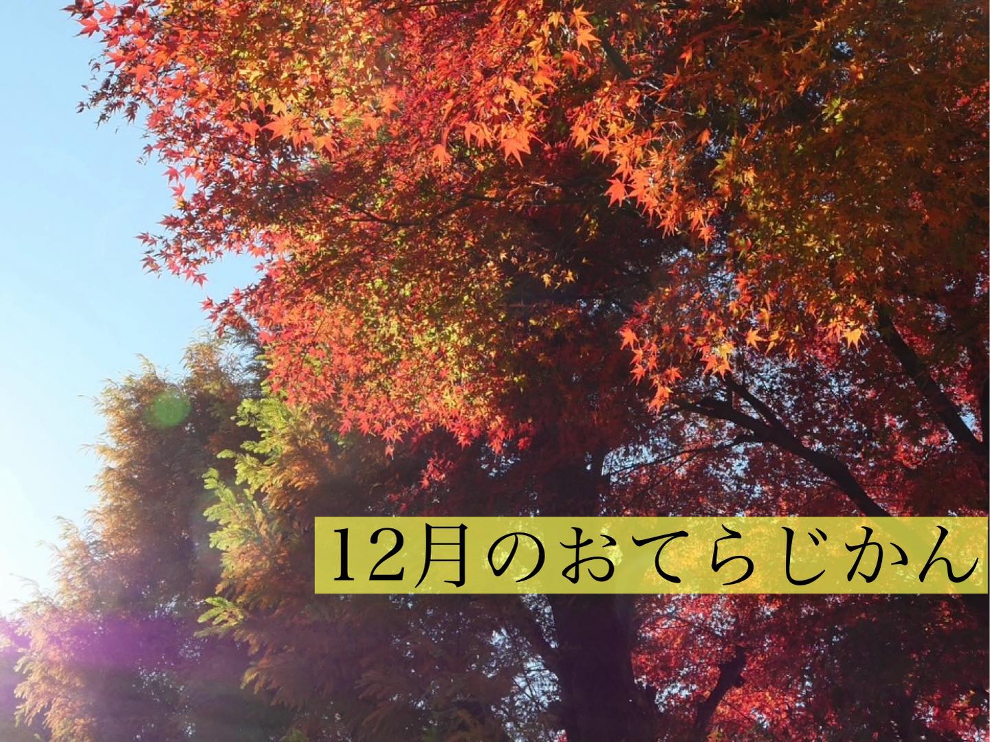１2月のおてらじかん日程
