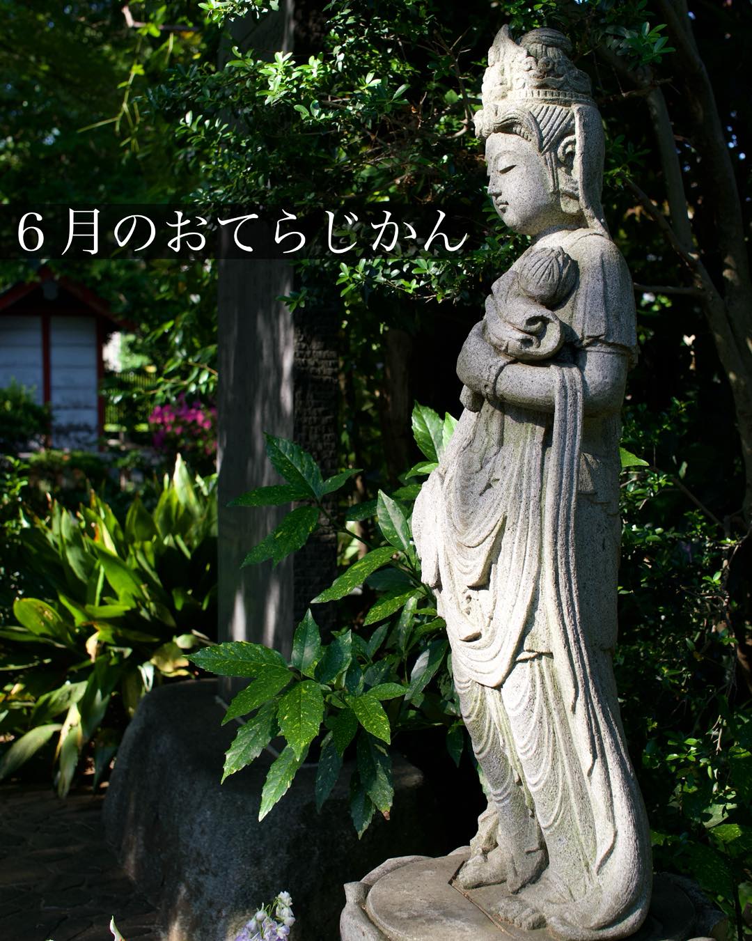 ６月のおてらじかん日程