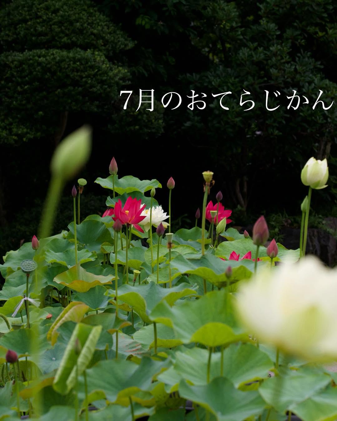 7月のおてらじかん日程